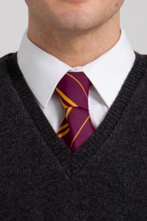 OFFICIAL WARNER BROS. HARRY POTTER GRYFFINDOR HOUSE TIE